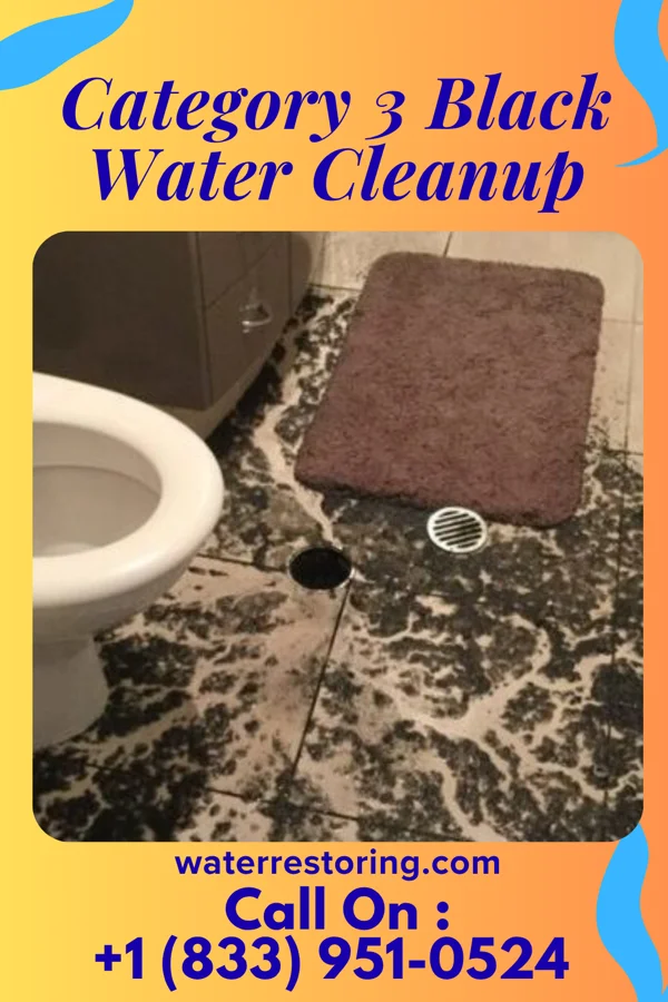 Category 3 Black Water Cleanup in Kempton, IL