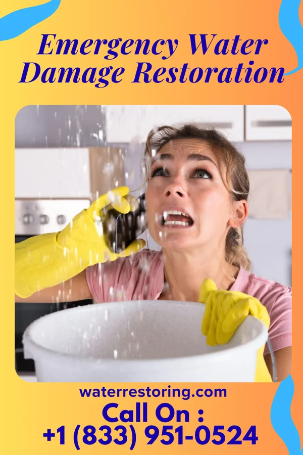 Emergency Water Damage Restoration in Kempton, IL