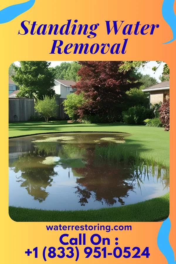 Standing Water Removal in Kempton, IL